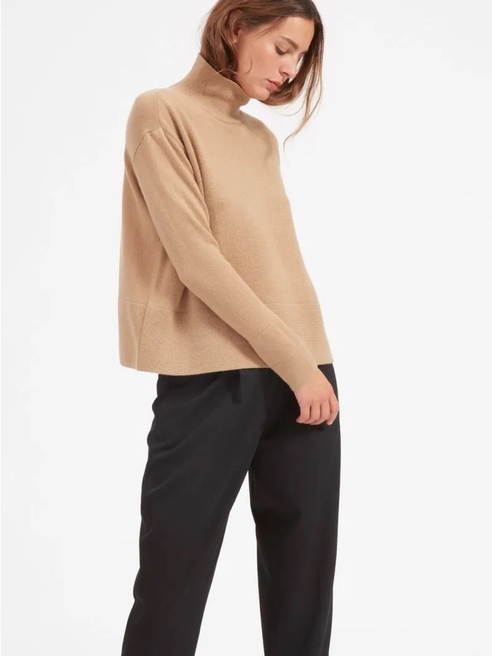 Everlane Camel Turtleneck Sweater